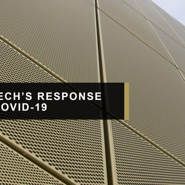 Sotech’s response to Covid 19