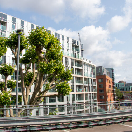 The Filaments Reclad London